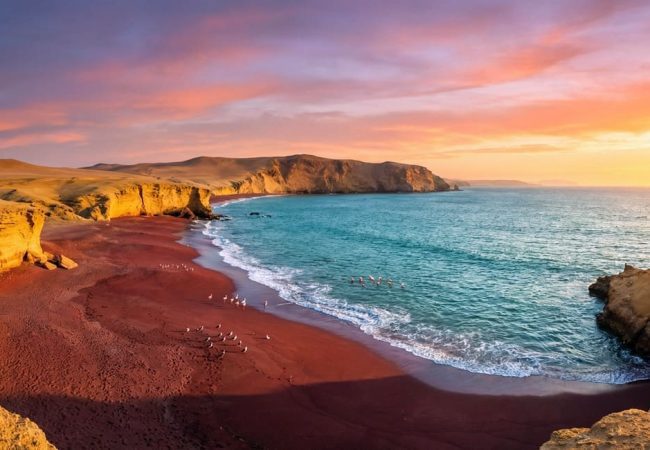 Ballestas & Paracas